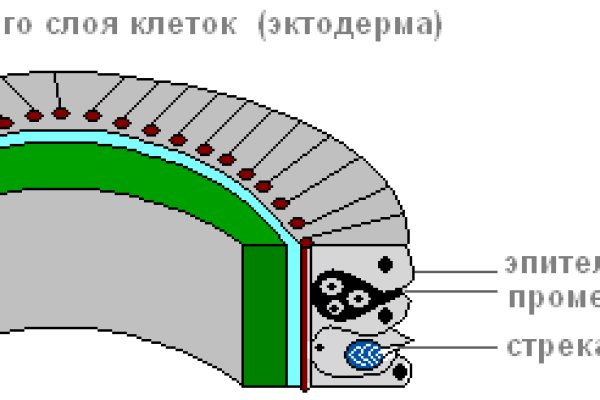 Как зайти на кракен