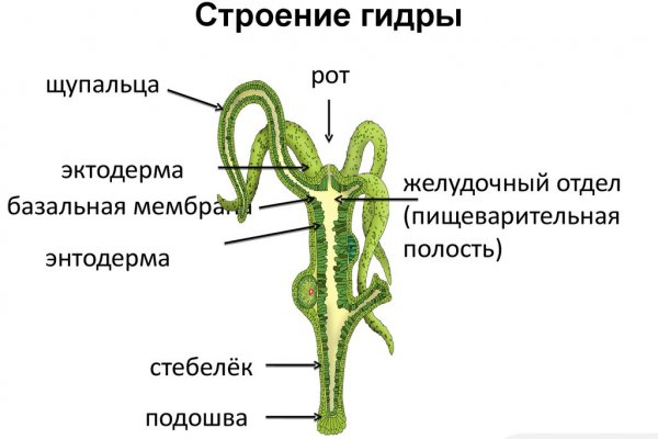 Ссылка кракен зеркало тор