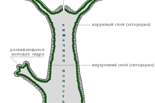 Кракен даркнет зайти